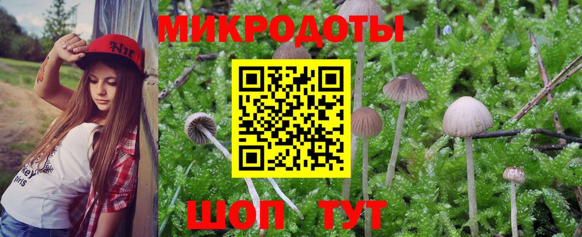 купить   Галлюциногенные грибы Magic Shrooms  Алатырь  Вход с VPN  Галлюциногенные грибы мухоморы 