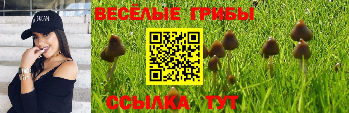 Галлюциногенные грибы ЛСД Алатырь